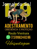 ADESTRAMENTO DE CÃES