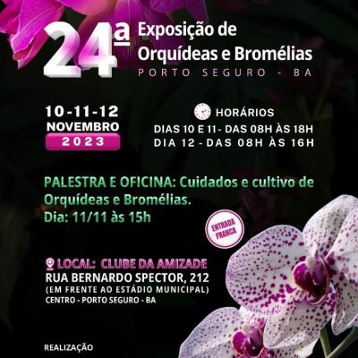 24orquidesc1