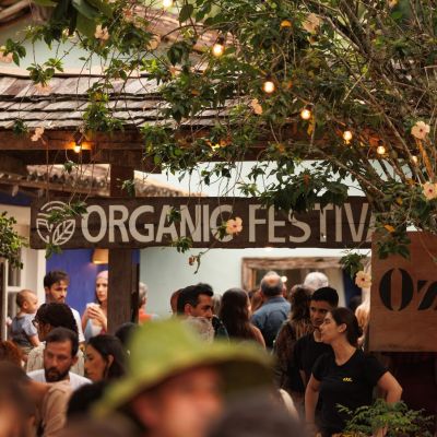 organicFestival1